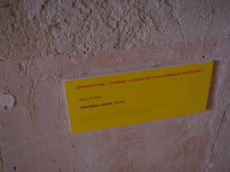 DSC08416.JPG
